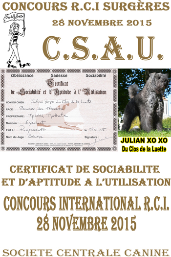 JULIAN XOXO du clos de la luette CSAU ©